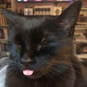 Meet your Posher, Dina